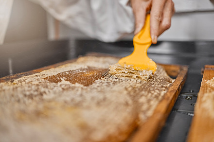 Beekeeper, hand and honey process, production and manufacturing in a factory, workshop and workplace. Frame, scraping and honeycomb with equipment for beeswax on a sustainability farm or warehouse, a Photo by Peopleimages.com
