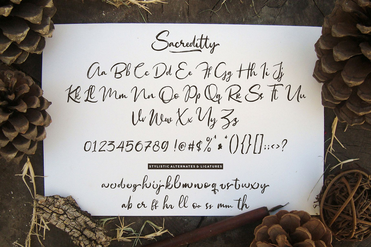 Sacreditty Handbrush Fonts preview 6