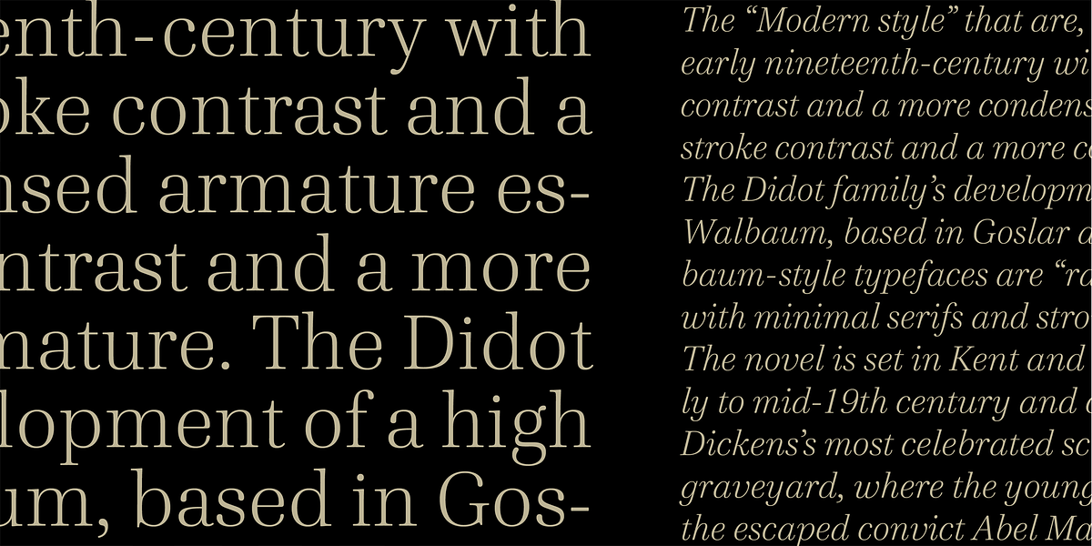 Cardillac Text, a Serif Font by Hoftype (Photo 11 of 15)