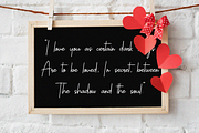 Sallyna Cattalya, a Script Font by Essentials Studio (Thumbnail 5 of 8)