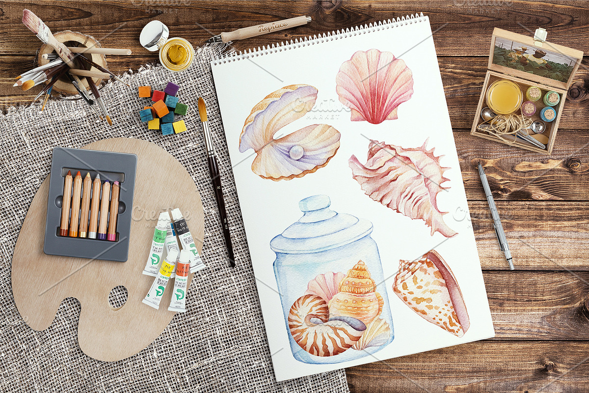 Watercolor Seashells, an Illustration by Irina Diasli (Photo 7 of 9)