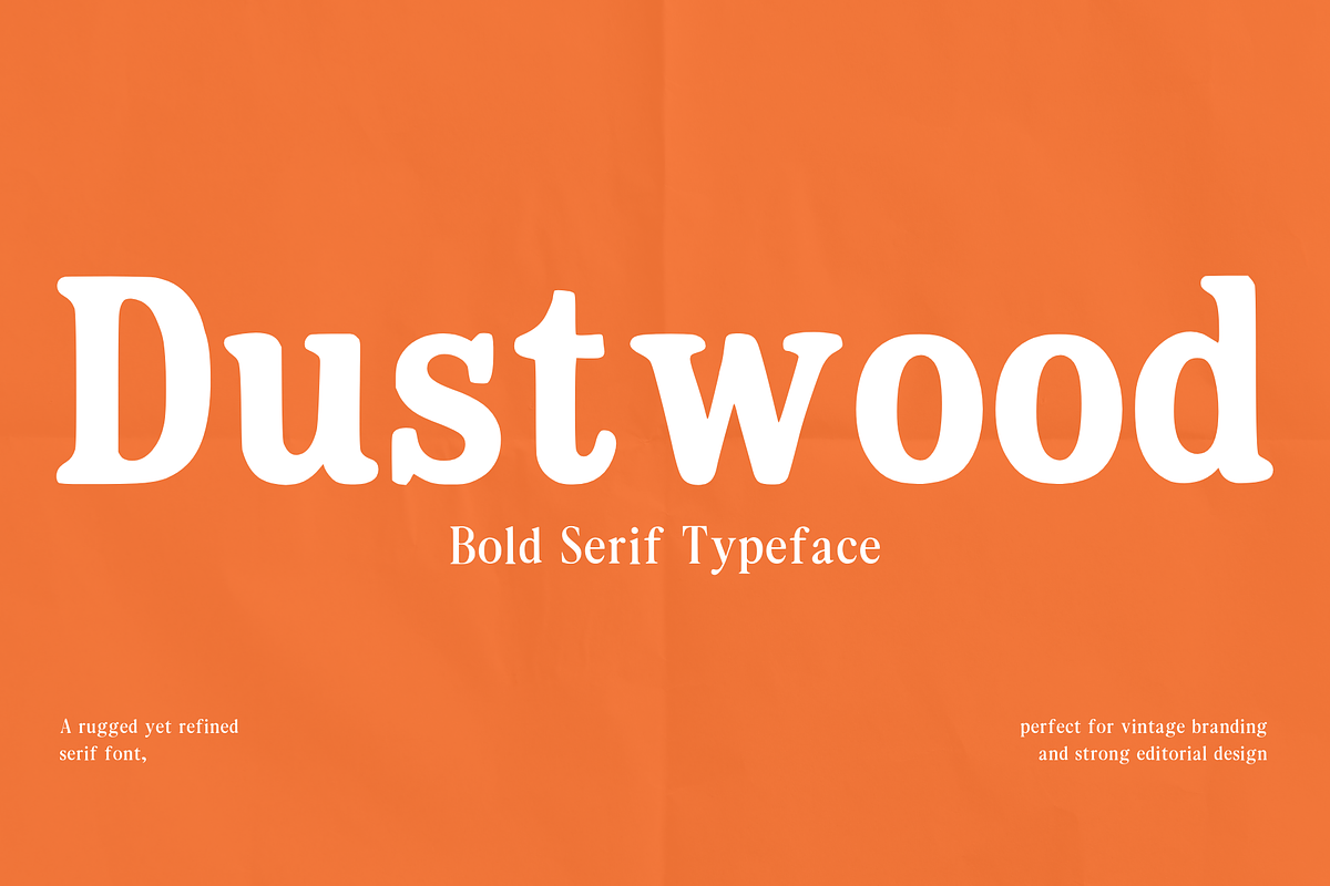 Dustwood Bold Serif Typeface, a Serif Font by RT Studio (Photo 1 of 12)