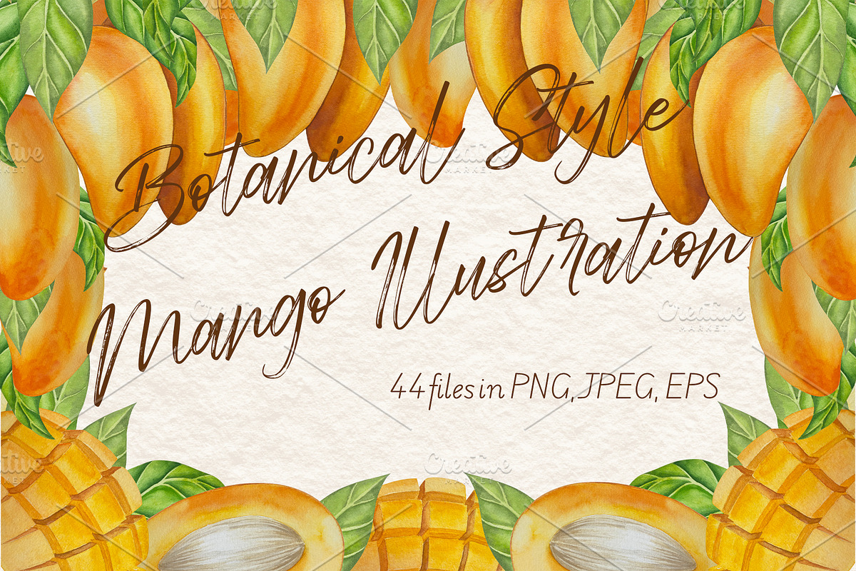 Botanical Style Mango Illustration, a Food Illustration by Milla_Zelenyuk_art (Photo 1 of 5)