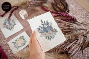 AUTUMN ULTIMATE watercolor set, an Animal Illustration by Kaleriia (Thumbnail 11 of 12)
