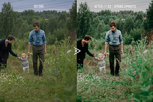 Grassland Lightroom Presets