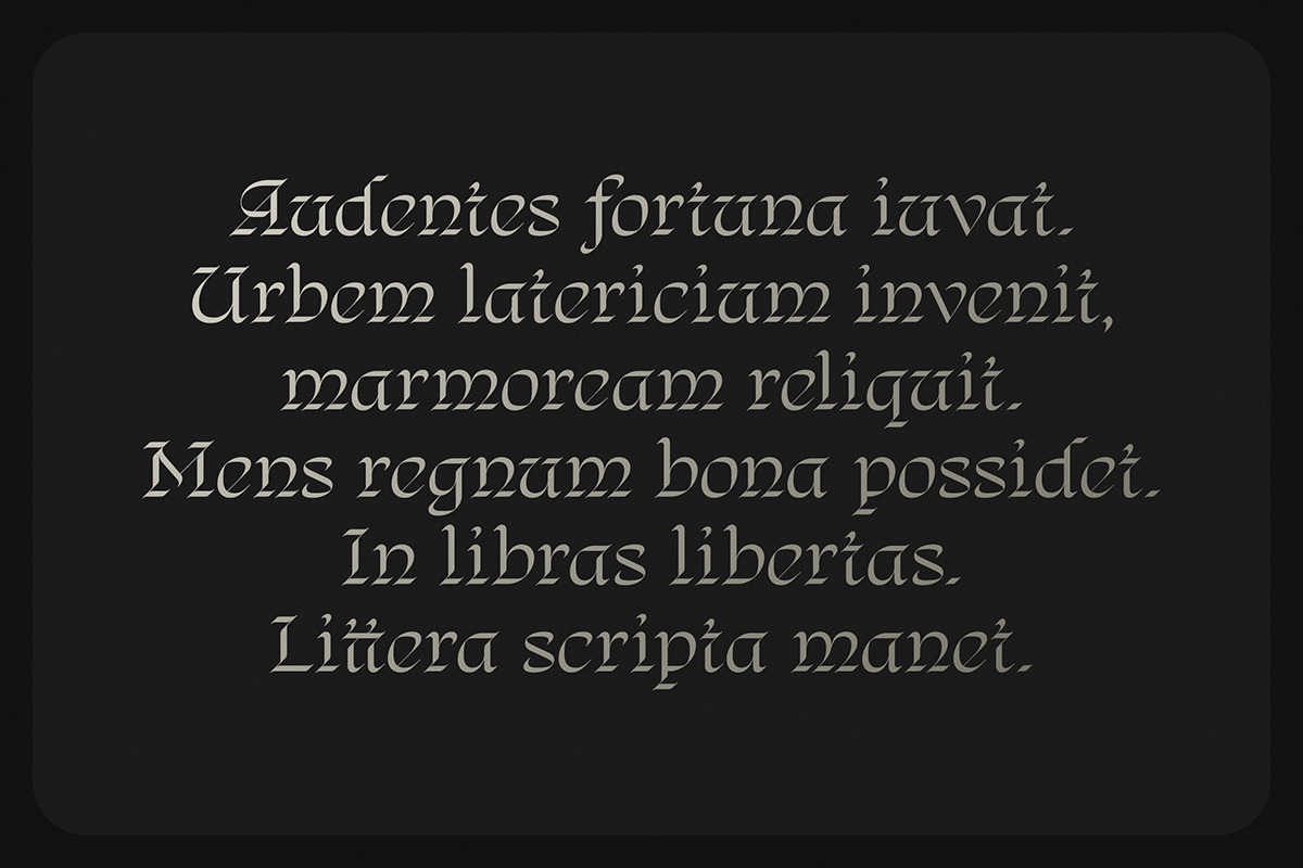 Regnio, a Blackletter Font by DKType Foundry (Photo 17 of 19)