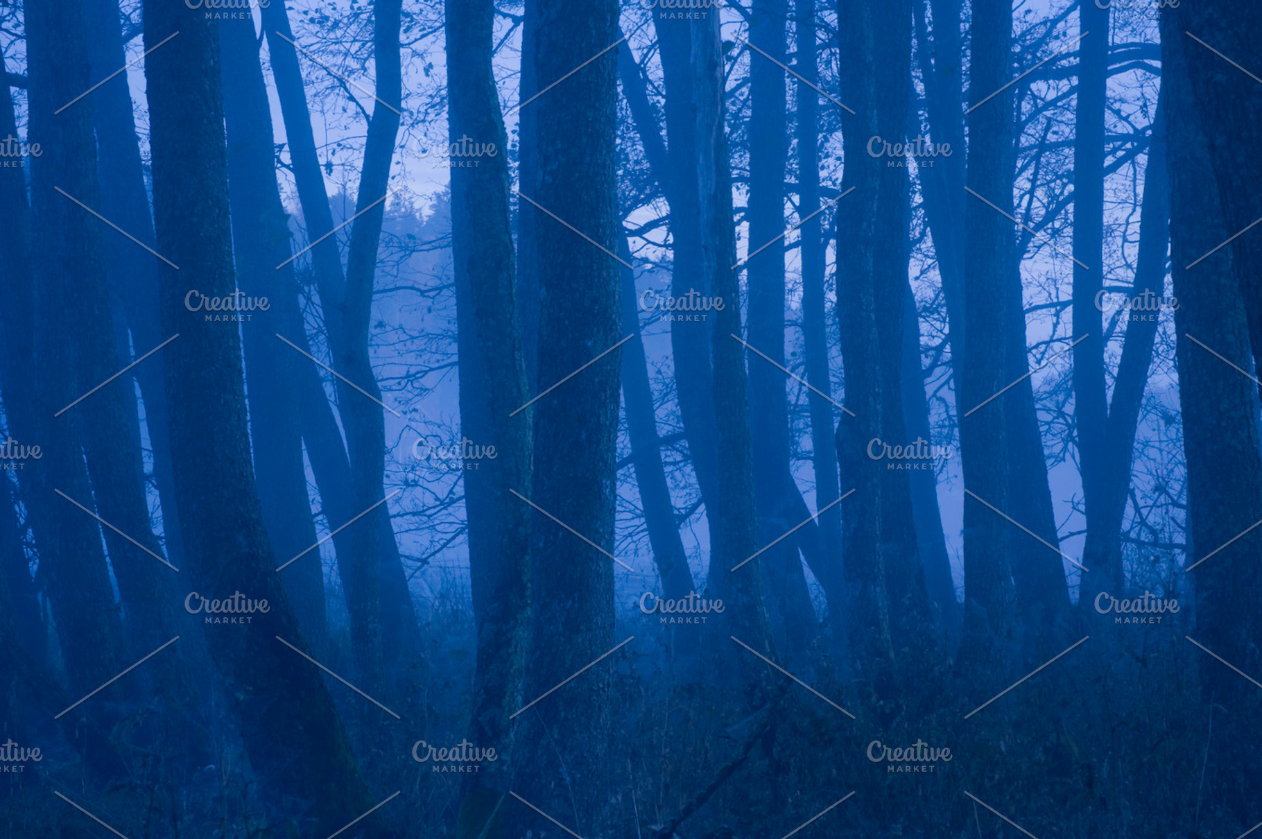 Mystique Stock Photo Containing Scandinavia And Mystique