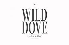 Wild Dove | Tall Serif Font