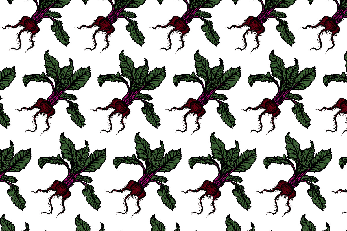Hand Drawn Vector Beet Graphics, a Food Illustration by Dorey Kronick Art&Design (Photo 7 of 7)