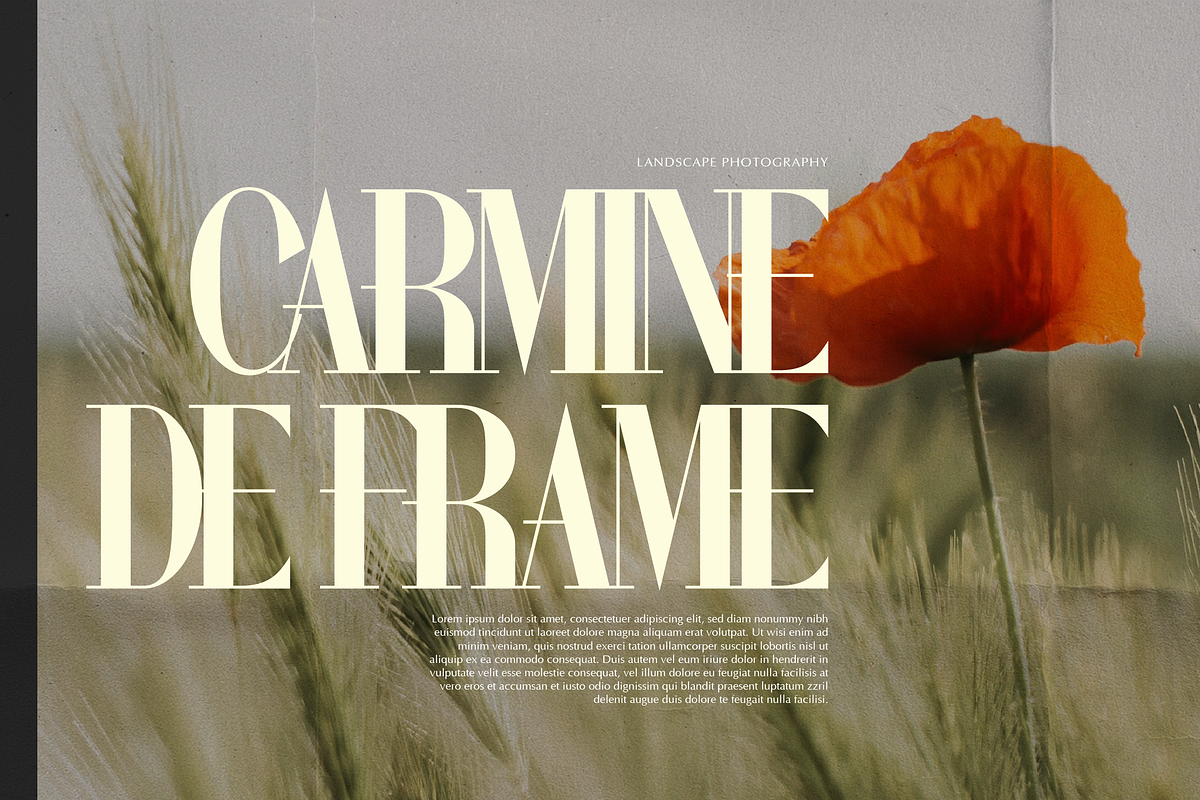 Wonder Astrella Modern Display Serif, a Serif Font by gracetype_studio (Photo 7 of 12)