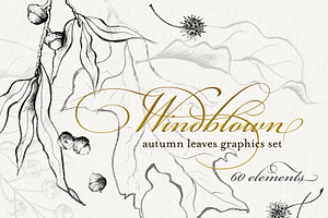 Windblown: Autumn Leaves Graphics