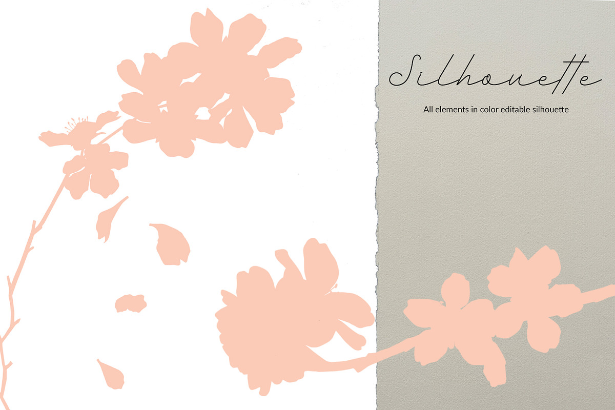 Almond Blossom, an Illustration by R.DesignStudio (Photo 10 of 11)