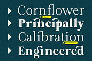Bailon, a Serif Font by Zafiratype (Thumbnail 2 of 15)