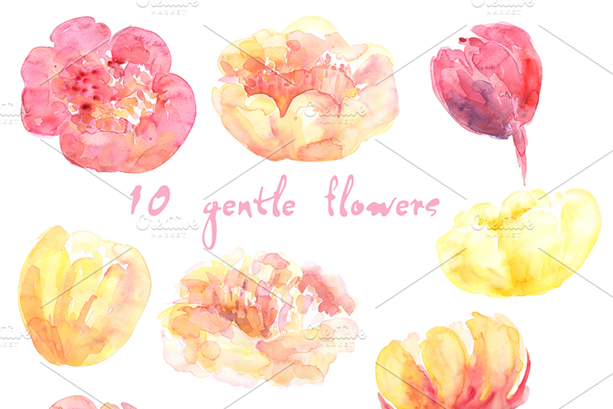 Watercolor clipart Peony Gentle Kiss, an Illustration by AqwaColor (Photo 2 of 5)