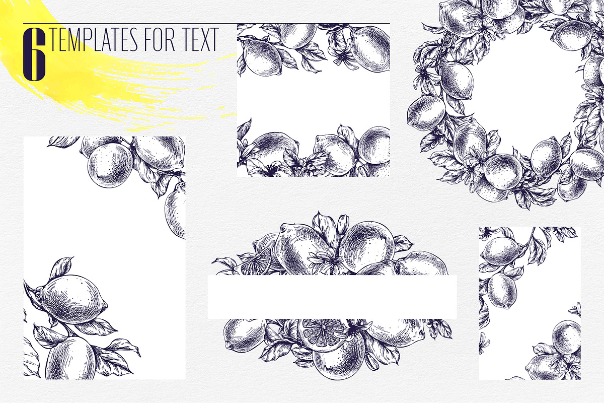 Vintage Lemon Engraving Collection, a Food Illustration by NATASHA CHU (Photo 8 of 14)
