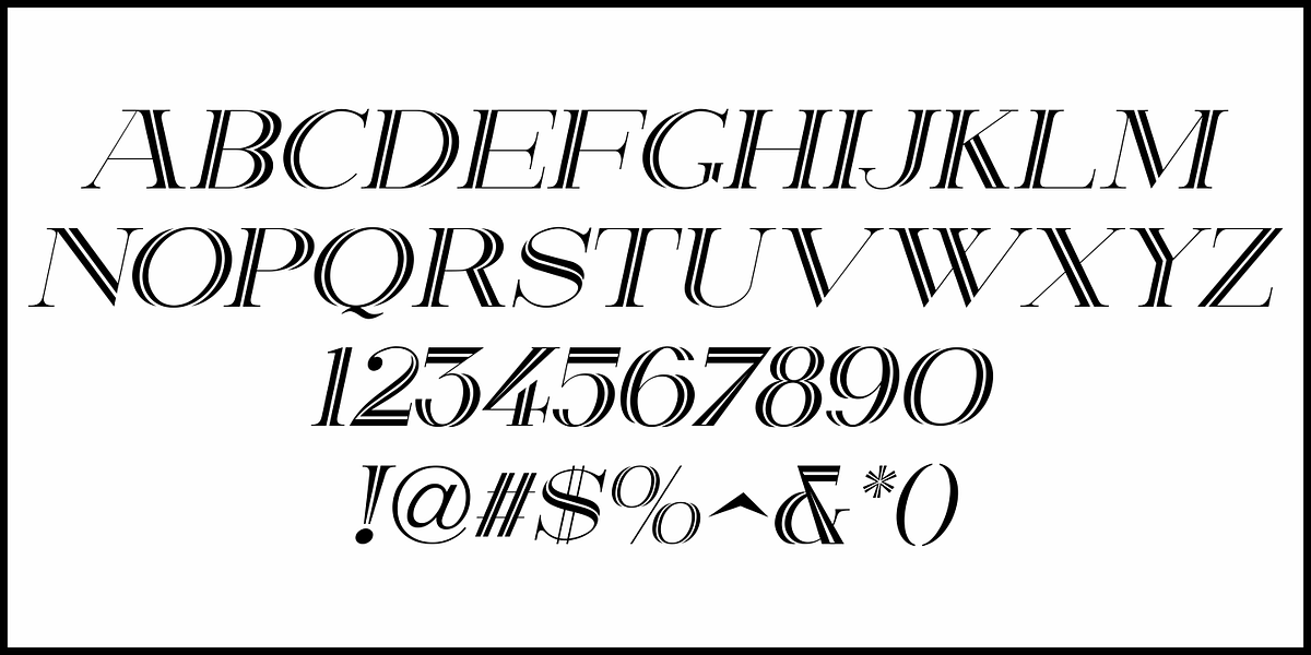Dual Line Roman JNL, a Serif Font by Jeff Levine Fonts (Photo 5 of 5)