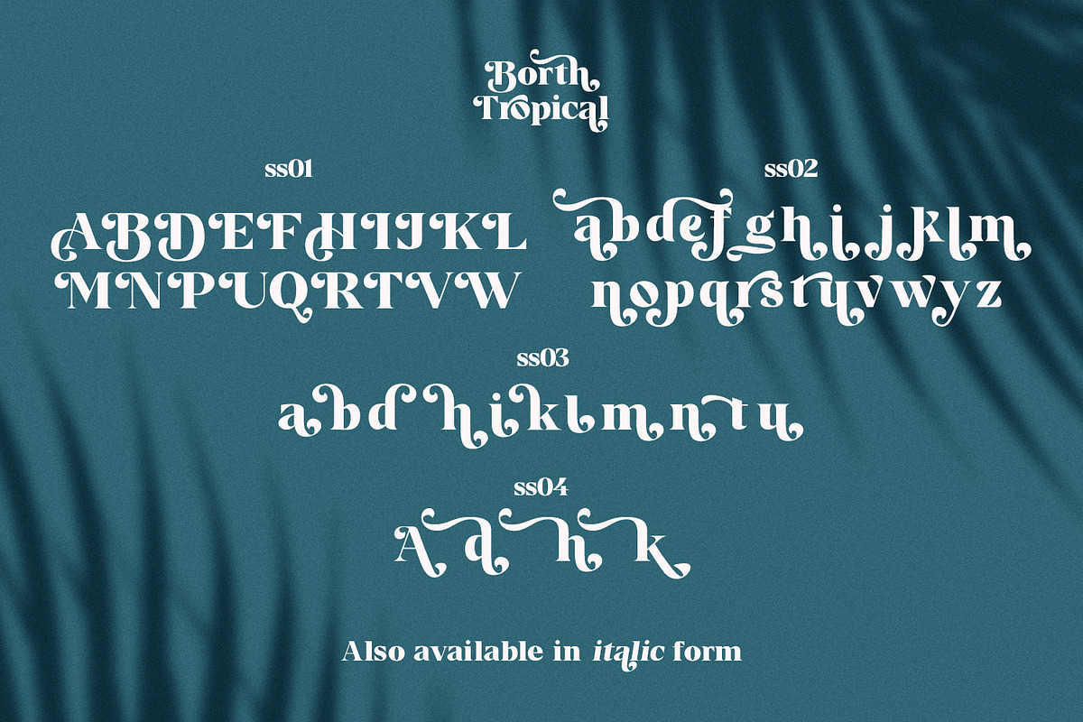 Borth Tropical Serif, a Serif Font by Black Junst (Photo 7 of 13)