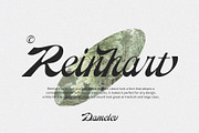 Reinhart Script, a Script Font by Damelev (Thumbnail 1 of 9)