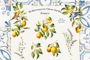 Mediterranean Citrus Garden clipart, a Decorative Illustration by Pamyatka Shop (Thumbnail 5 of 14)