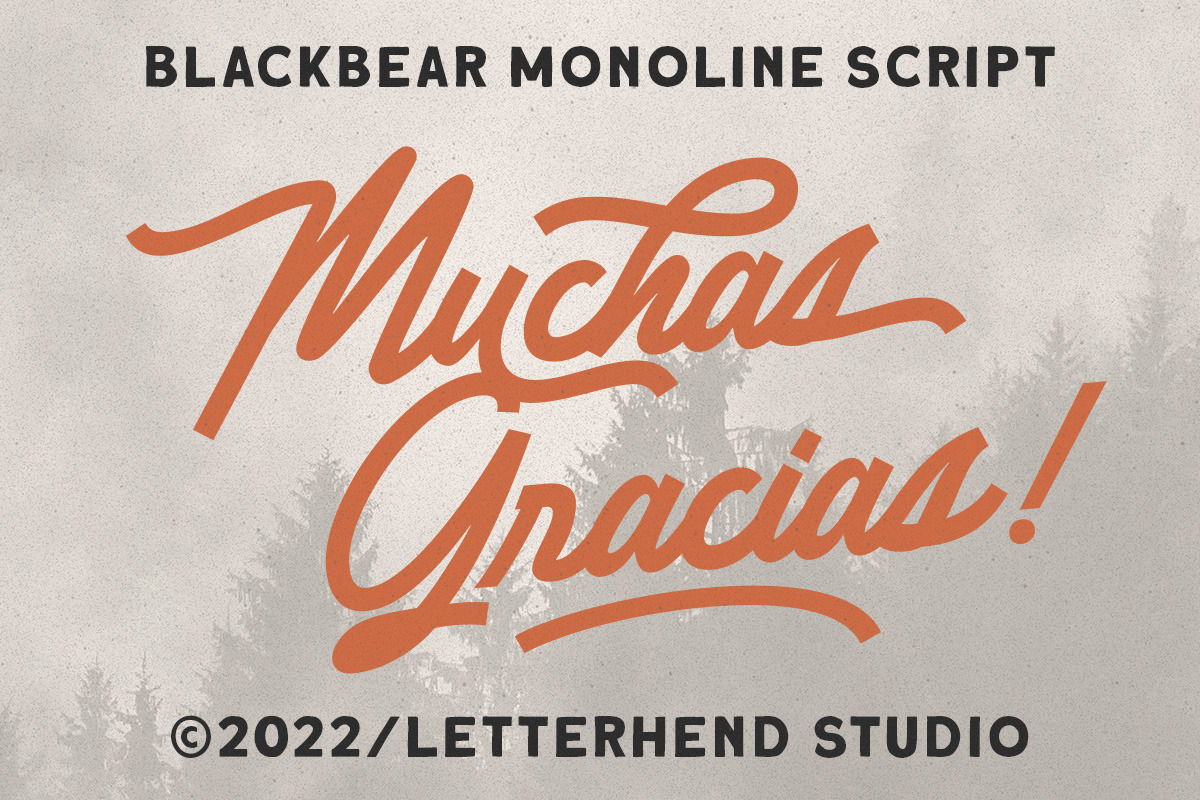 Blackbear - Monoline Script, a Script Font by Letterhend Studio (Photo 8 of 8)