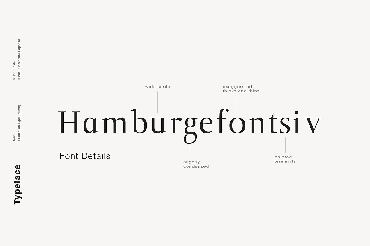 Naia - Sophisticated Serif Typeface preview 3
