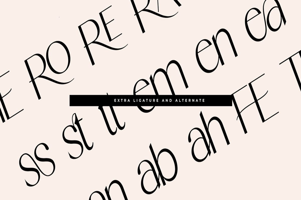 HEROVA, a Serif Font by Gatype (Photo 11 of 13)