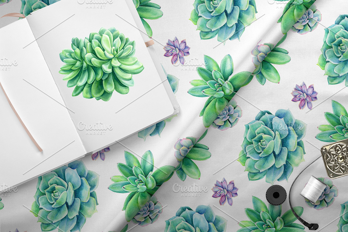 watercolor cacti and succulents, a Decorative Illustration by Hanna Hryharenka (Photo 6 of 9)
