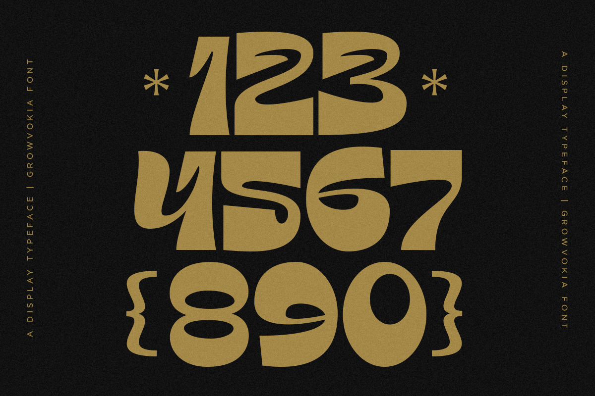 GROWVOKIA | Groovy Display, a Serif Font by Pentagonistudio (Photo 5 of 10)