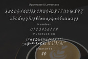 Eyollanita - Monoline Script Font, a Script Font by Bayuktx (Thumbnail 3 of 5)