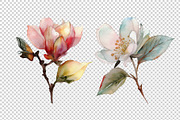 Watercolor Flowers, a Decorative Illustration by BazziBa♥ (Thumbnail 5 of 9)
