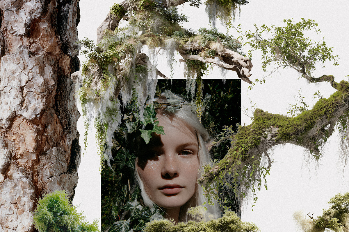 Hollow: Mystical Forest Collage Pack, an Object Graphic by Purple (Photo 12 of 13)
