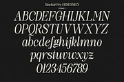 Sinclair Pro Obsession | 12 Font, a Serif Font by Natural Ink Studio (Thumbnail 16 of 17)