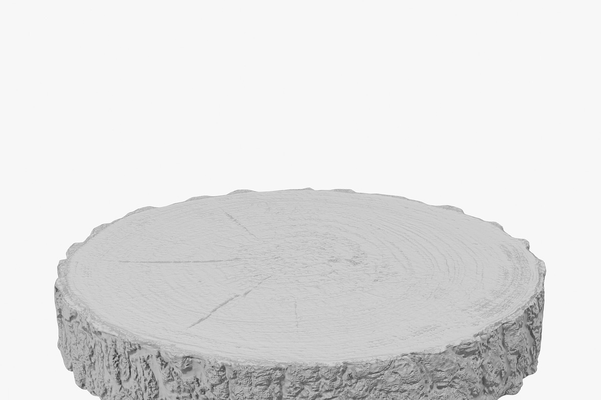 Wood Log Slice, an Environmental 3D Model by 3D_PikNik (Photo 11 of 15)