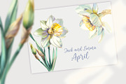 Narcissuses and Butterflies, an Illustration by Shabbypie (Thumbnail 5 of 19)