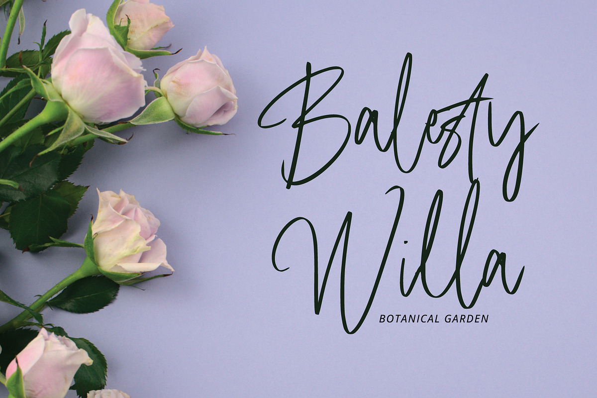 Masha Signature, a Handwritten Font by Eltypesstudio (Photo 8 of 10)
