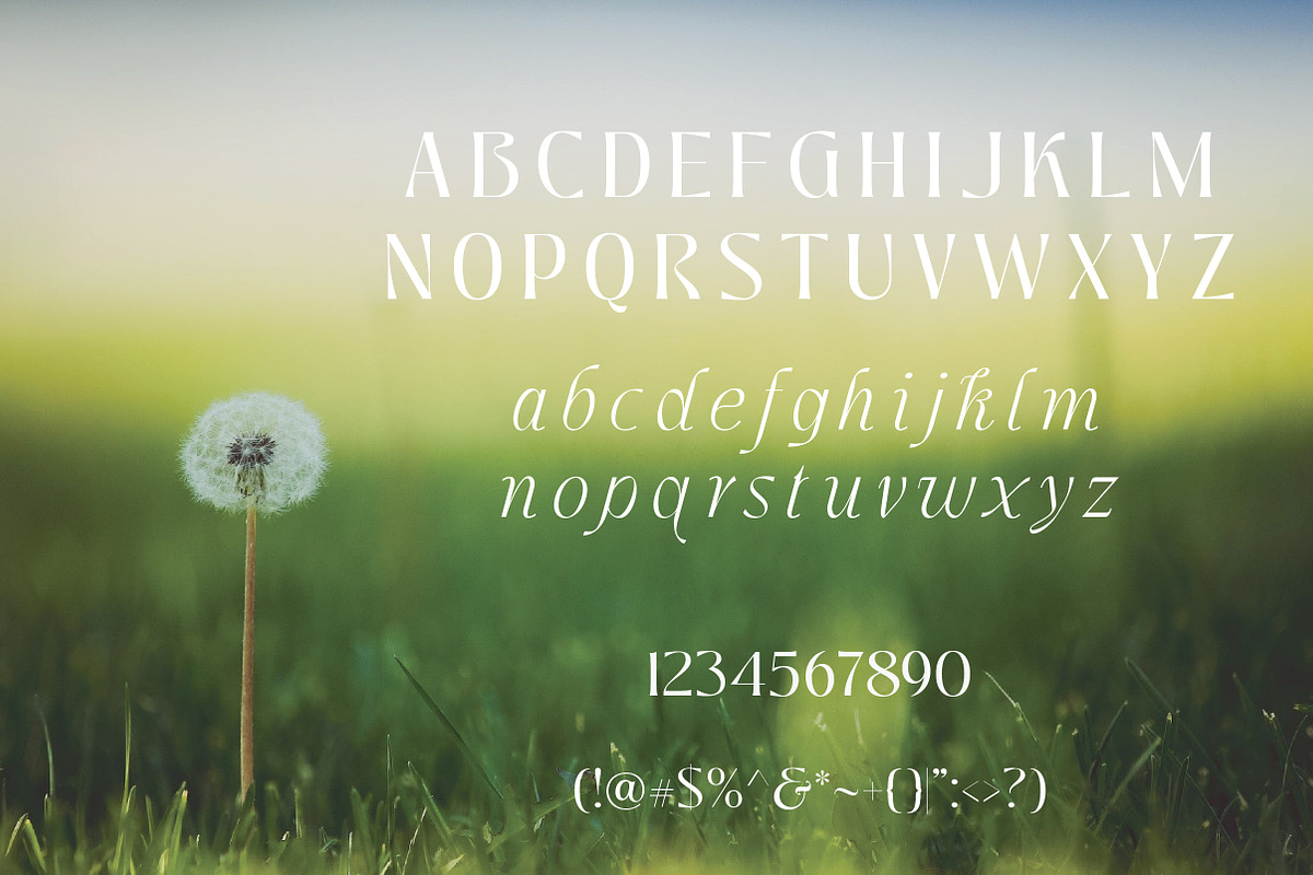 Yandrix | Serif Regular & Italic, a Serif Font by Artdez (Photo 2 of 5)