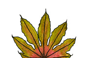 Watercolor palm leaves clipart, an Illustration by Watercolor_Vector Graphic (Thumbnail 15 of 15)
