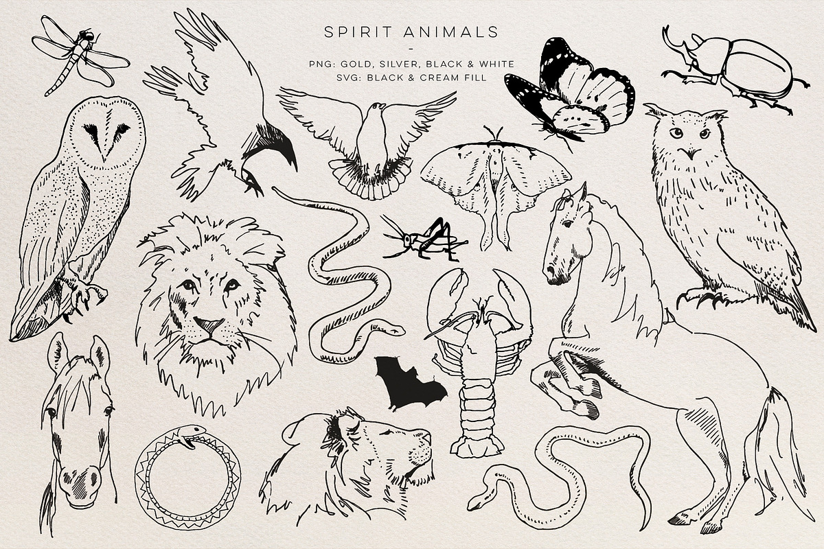 Celestial Oracle: Tarot Clipart SVGs, an Object Graphic by Blixa 6 Studios (Photo 3 of 26)