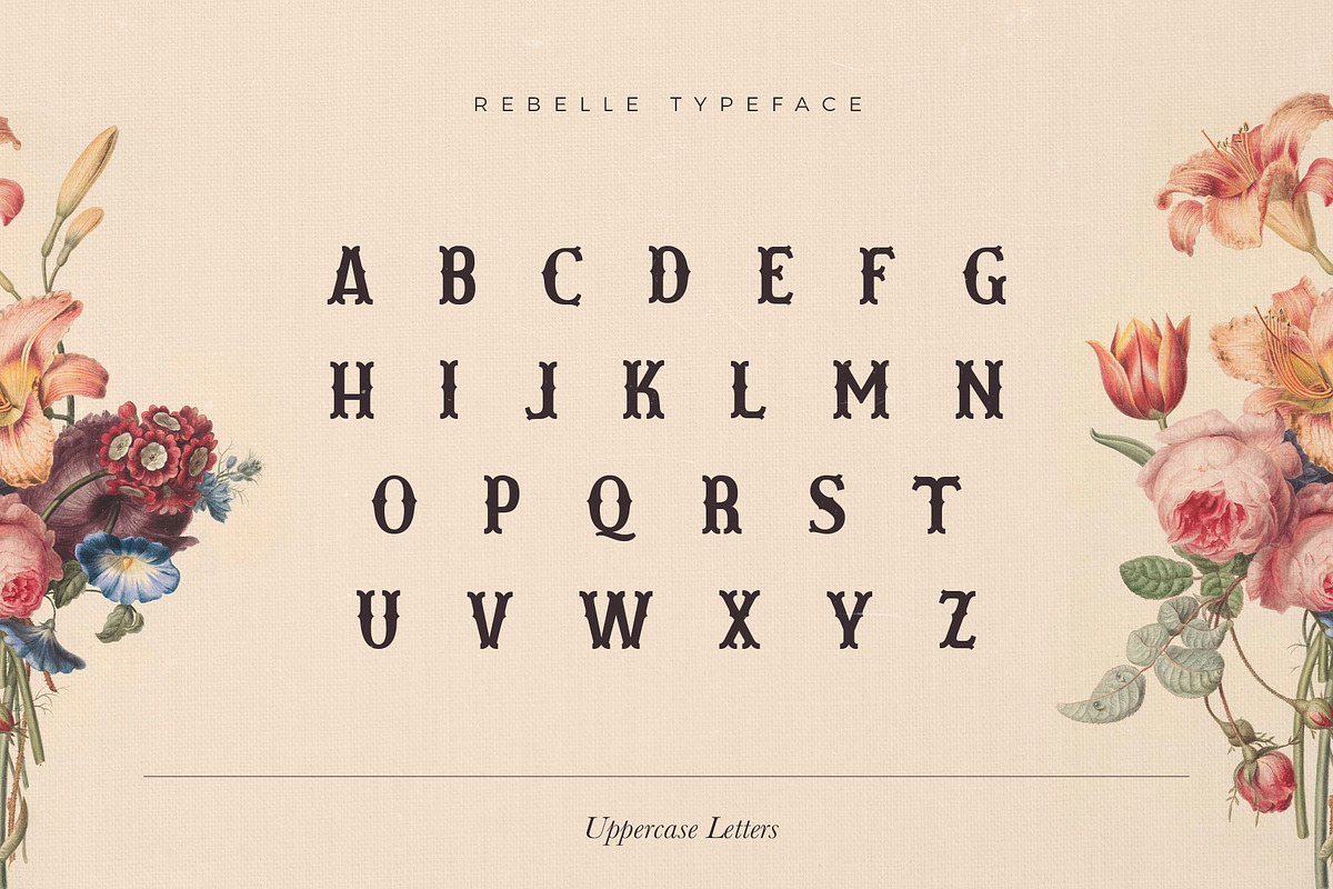 Les Liaisons Dangereuses Font Duo, a Slab Serif Font by Aurelie Maron (Photo 4 of 9)