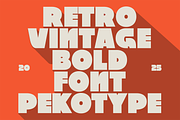 Swedis - Vintage Bold Font, a Sans Serif Font by Pekotype (Thumbnail 2 of 16)