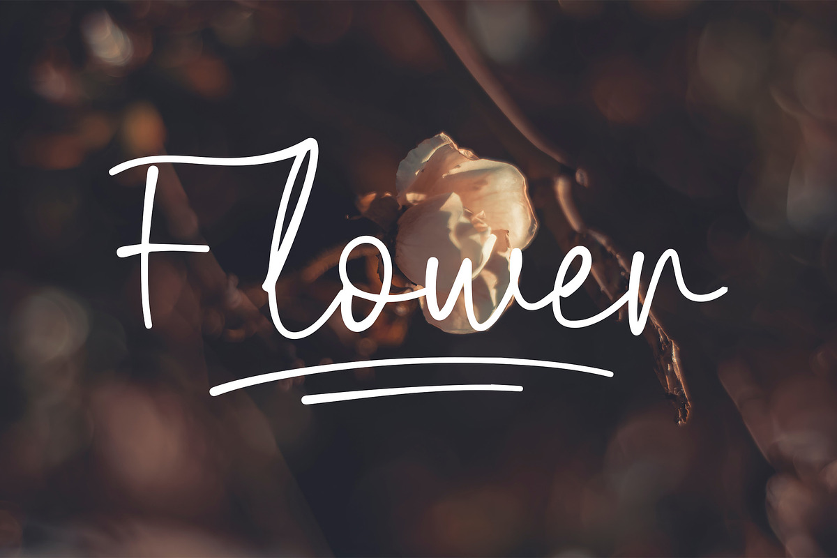 Biegen Stinger - Script Font, a Script Font by NTC Graphic (Photo 2 of 9)