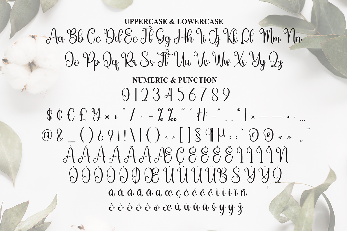 Yesterday | Script Font, a Handwritten Font by Scratchones (Photo 7 of 9)