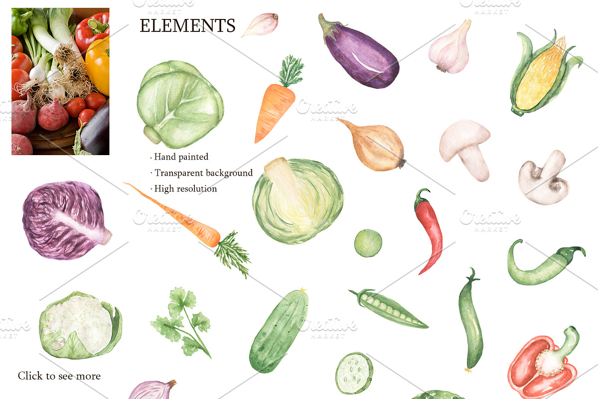 Watercolor Vegetables Collection, a Food Illustration by MayaNavits (Photo 3 of 12)