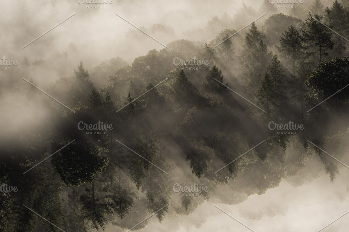 Foggy Mountain Slide Template, a Presentation Template by DesignedBetter (Photo 7 of 7)