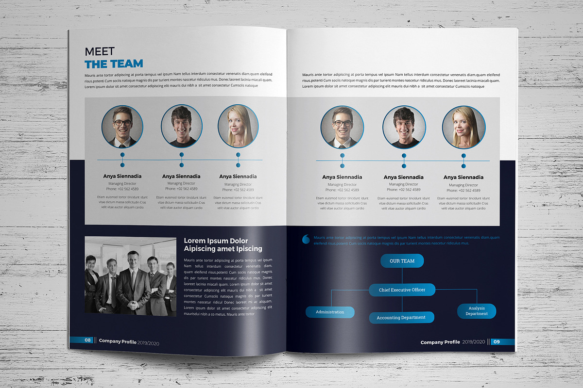 Company Profile Template V4, a Brochure Template by JanySultana (Photo 5 of 14)