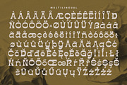 Diazy - Modern Vintage Font, a Serif Font by Salamahtype (Thumbnail 7 of 7)