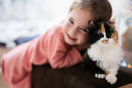 Baby girl with kitty lying on the sofa. Children's love for pets, an Animal Photo by AS photostudio