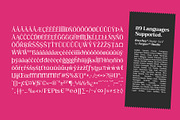 Bruchey Serif, a Serif Font by Fargun Studio (Thumbnail 12 of 15)