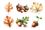 Acorns & Oak Leaves Clipart, an Illustration by Daily.Designs (Thumbnail 2 of 5)