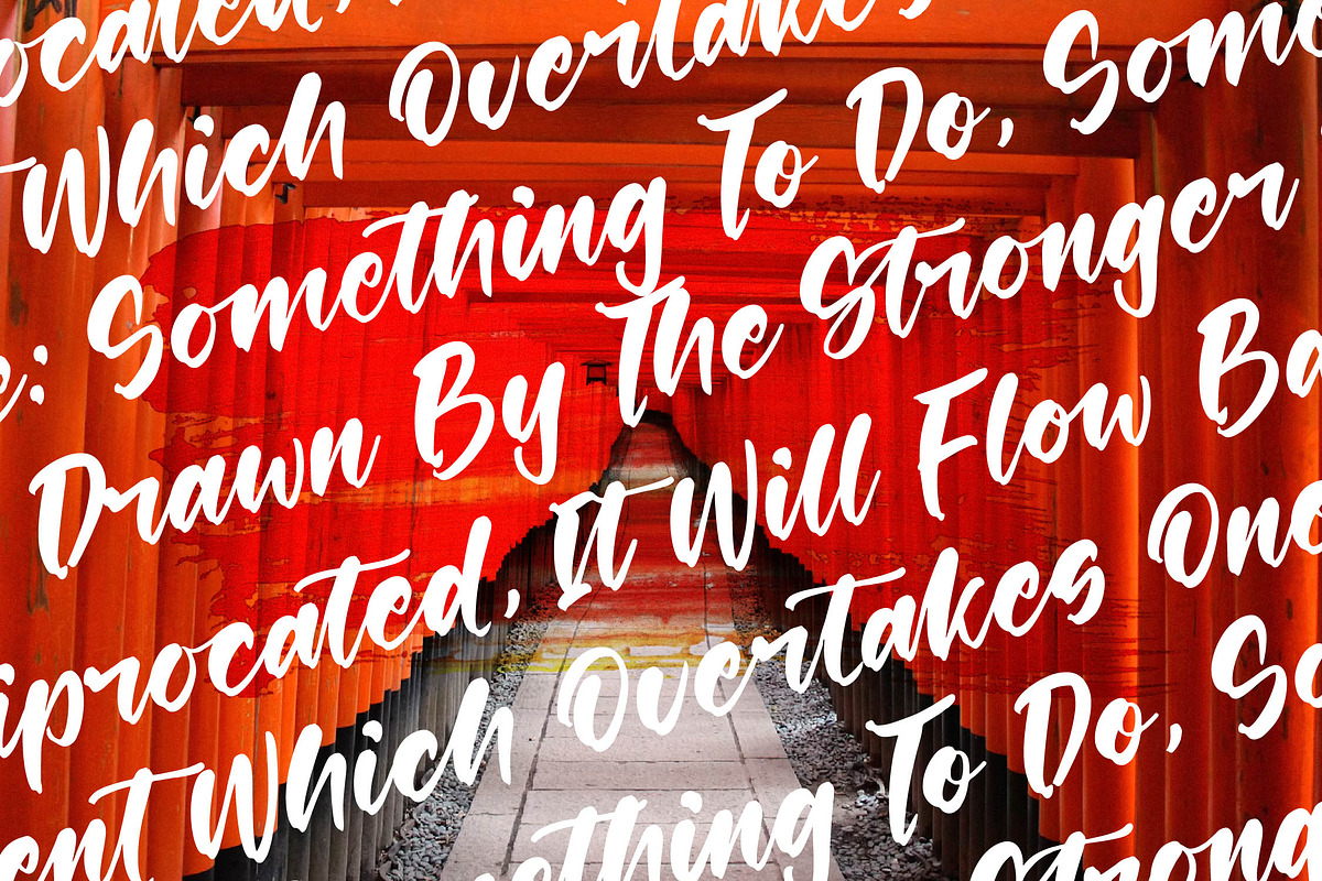 Shinobi Morning Bold Calligraphy, a Script Font by stylishtype.co (Photo 12 of 20)